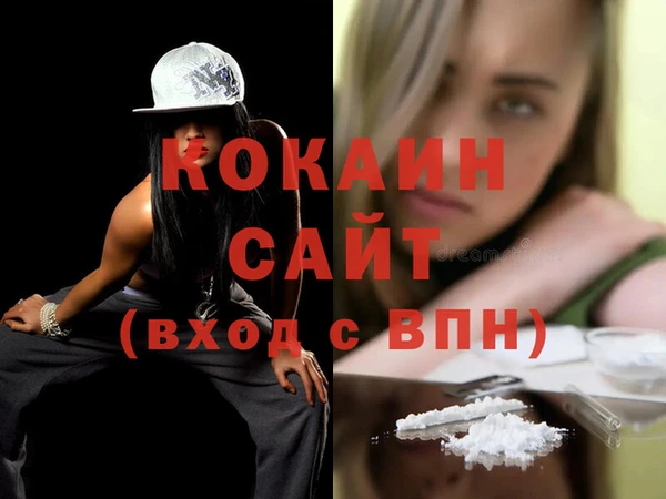 гидра Богородицк