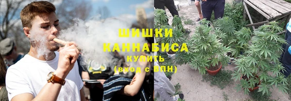 эйфоретик Баксан