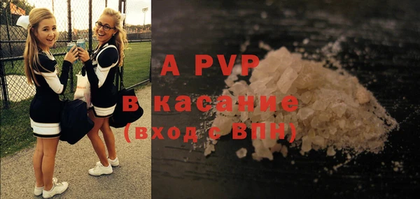 бошки Белокуриха